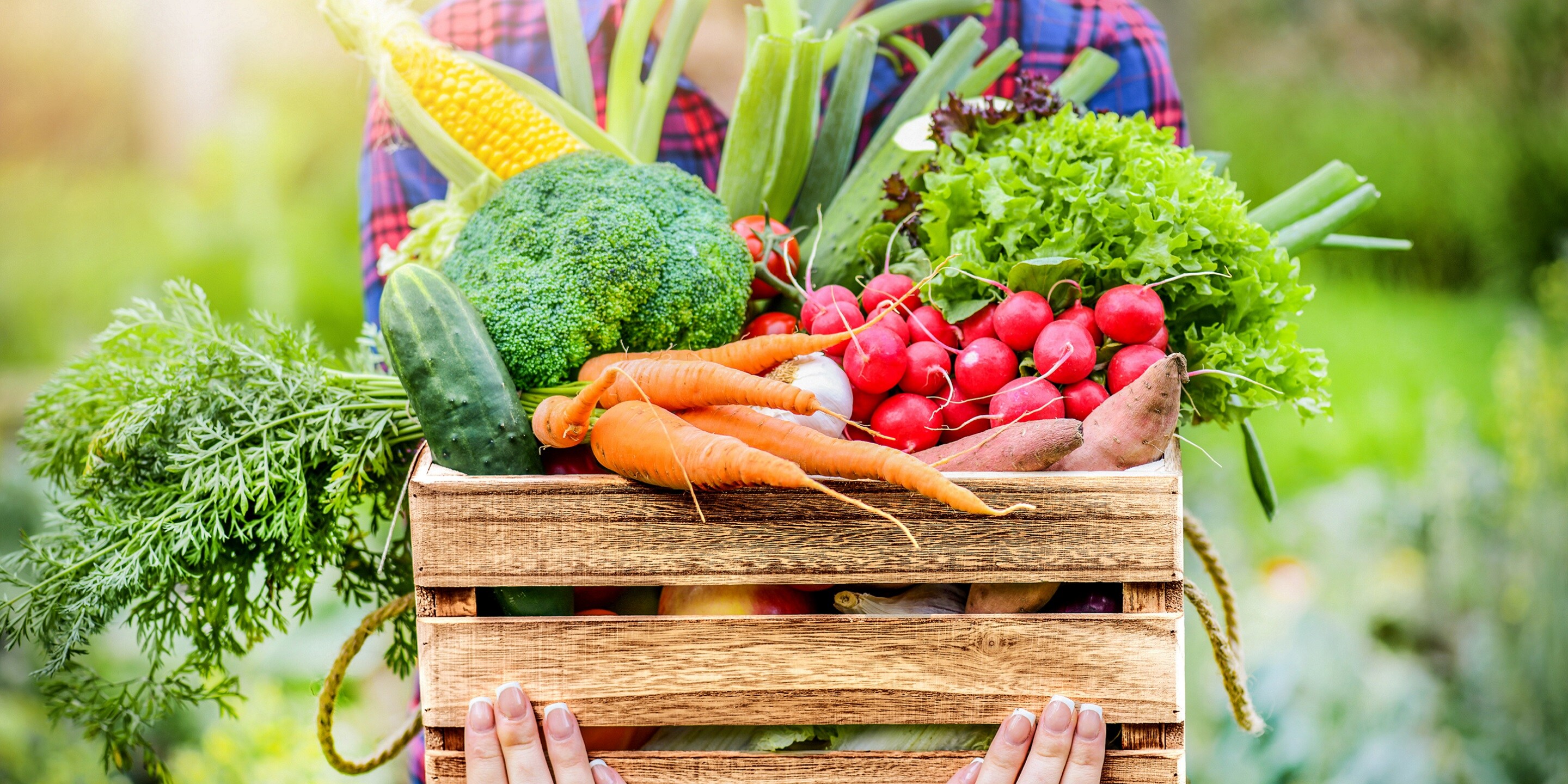 Organic Foods And Café Retrofits Dubai Store Location With Lowerglobalwarming Potential